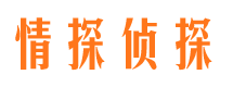 安新市侦探调查公司